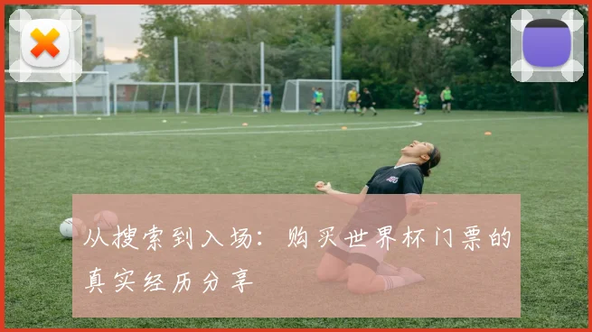 从搜索到入场：购买世界杯门票的真实经历分享
