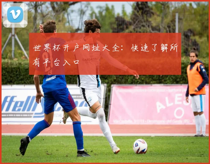 世界杯开户网址大全：快速了解所有平台入口