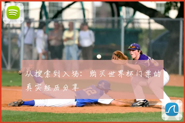 从搜索到入场：购买世界杯门票的真实经历分享