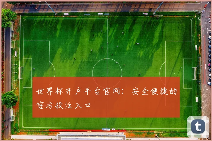 世界杯开户平台官网：安全便捷的官方投注入口