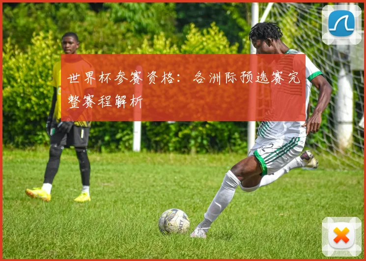 世界杯参赛资格：各洲际预选赛完整赛程解析