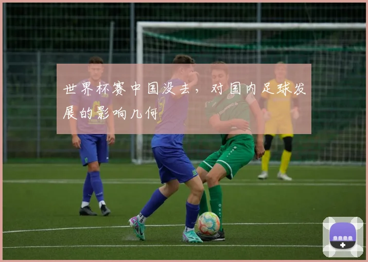 世界杯赛中国没去,对国内足球发展的影响几何
